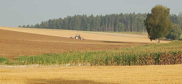 Forschung für eine nachhaltige Biomassenutzung im Rahmen der Bayerischen Bioökonomiestrategie